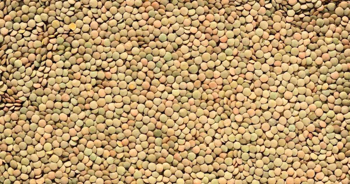 Fuentes de proteína vegetal para deportistas: legumbres, tofu, soja, guisantes y quinoa